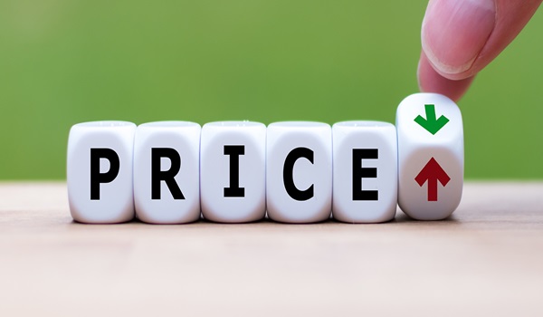 Featured Image of Mahindra IvyLush Price